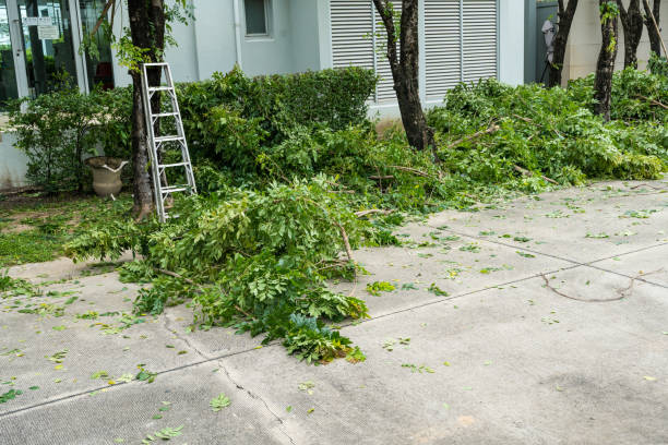 Best Weed Control  in Brookfield, WI