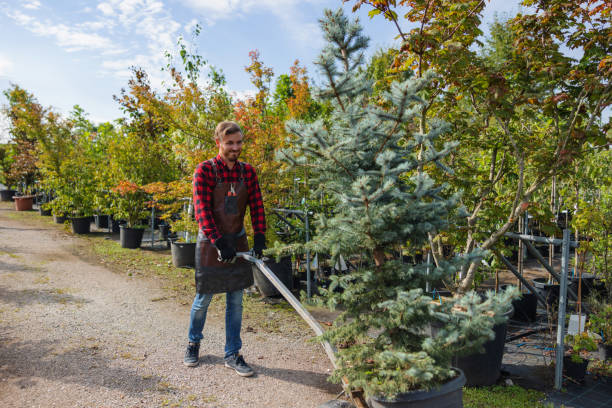 Best Lawn Watering Services  in Brookfield, WI